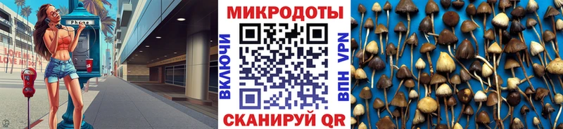 купить наркотики сайты  Змеиногорск  Галлюциногенные грибы прущие грибы 